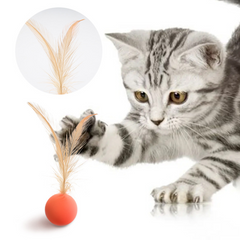 Interactive Elastic Jumping Ball With Feather