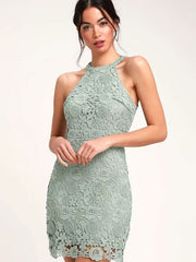 Stretch Lace Elegant Jewel Neck Sleeveless Party Dress