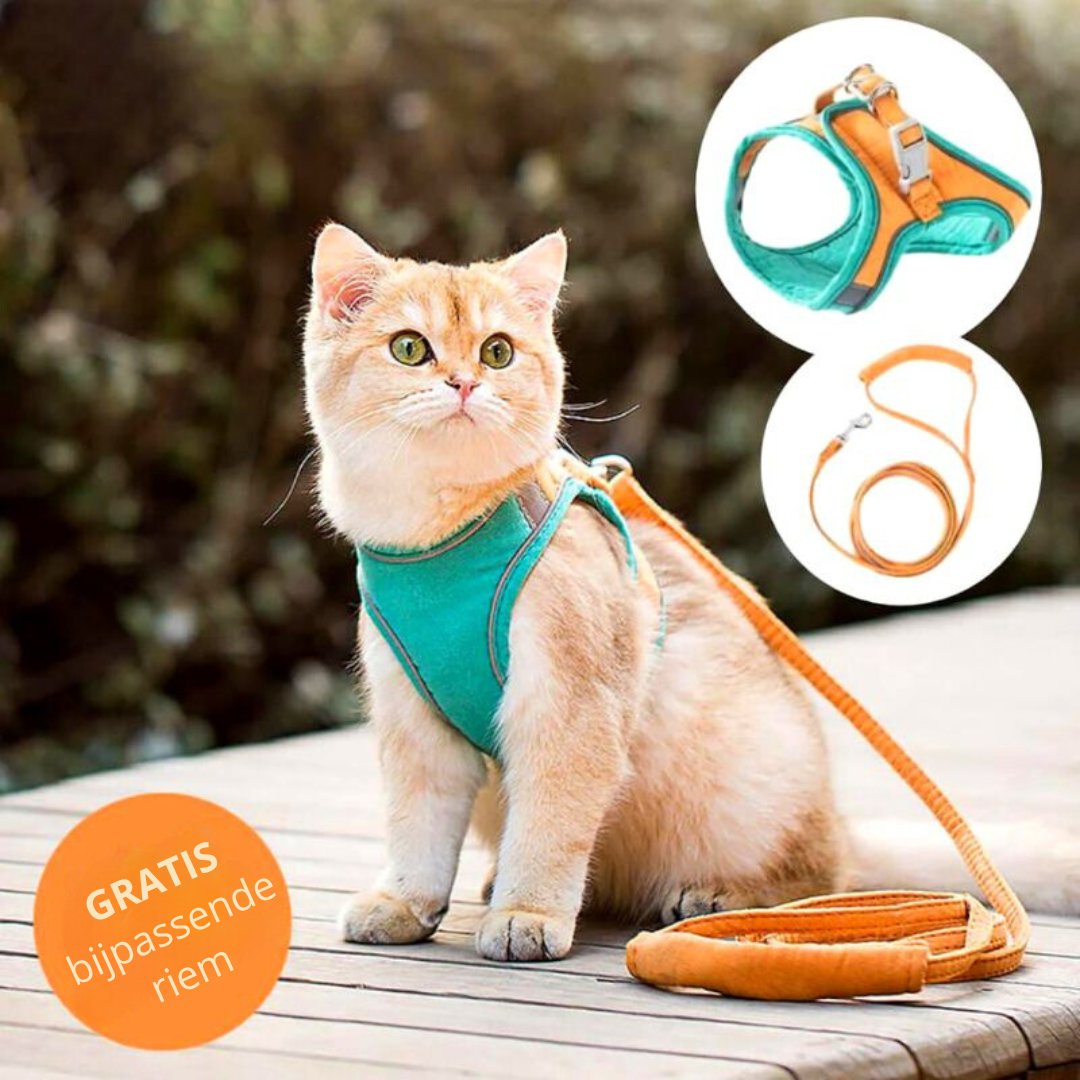 1+1 FREE | Supreme Cat Beltâ„?- Soft and stylish cat harness!