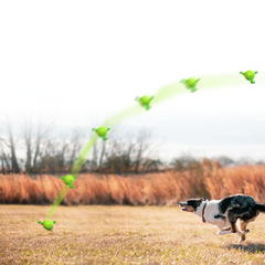 Dog Toys Socccer Balls with Straps