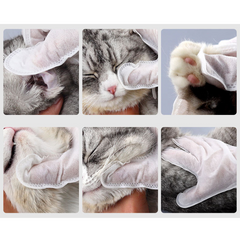 Pet Disposable Glove Wipes