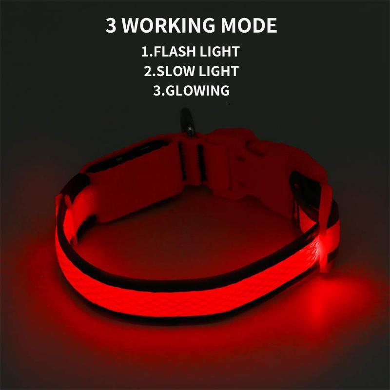 DogShineâ„?| LED collars for dogs