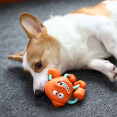 Rubber Squeaker Dog Chew Toys