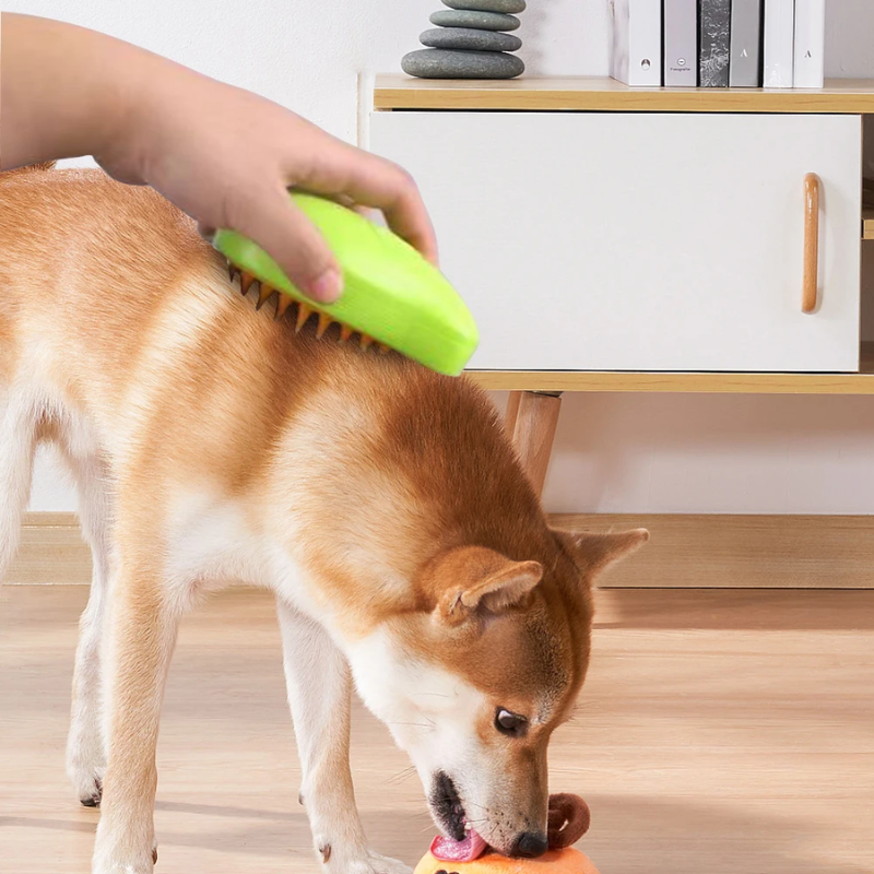 1+1 FREE | SteamBrushâ„?- Handy steam brush for pets!