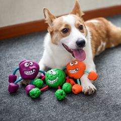 Rubber Squeaker Dog Chew Toys