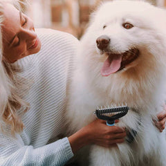 PetCleanâ„?handy pet hair remover
