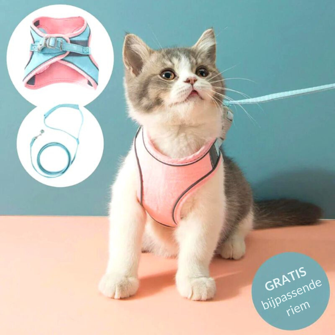 1+1 FREE | Supreme Cat Beltâ„?- Soft and stylish cat harness!