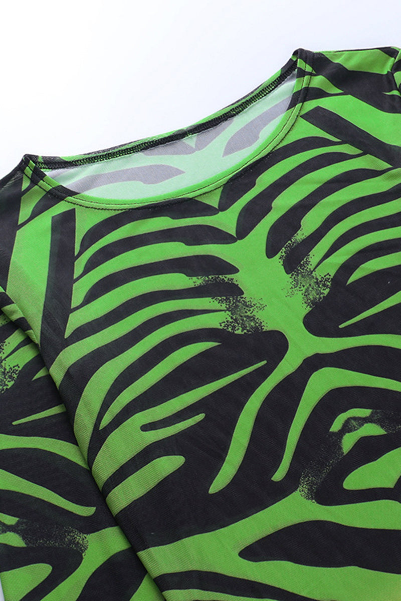 All Over Print Sheer Mesh Midi Dress