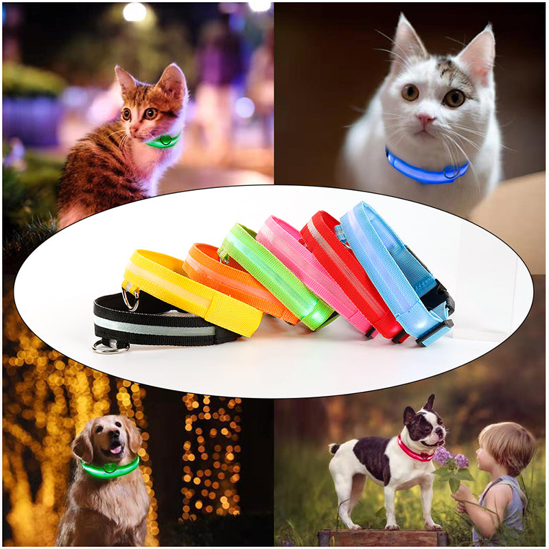 DogShineâ„?| LED collars for dogs