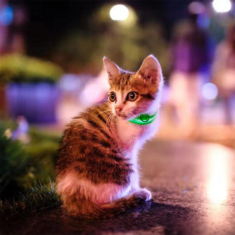 DogShineâ„?| LED collars for dogs