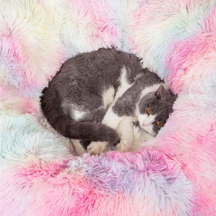 Cat Tunnel Bed Collapsible with Central Mat