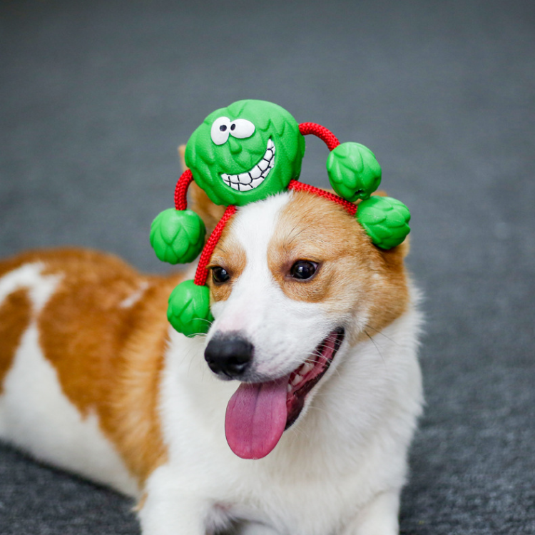 Rubber Squeaker Dog Chew Toys