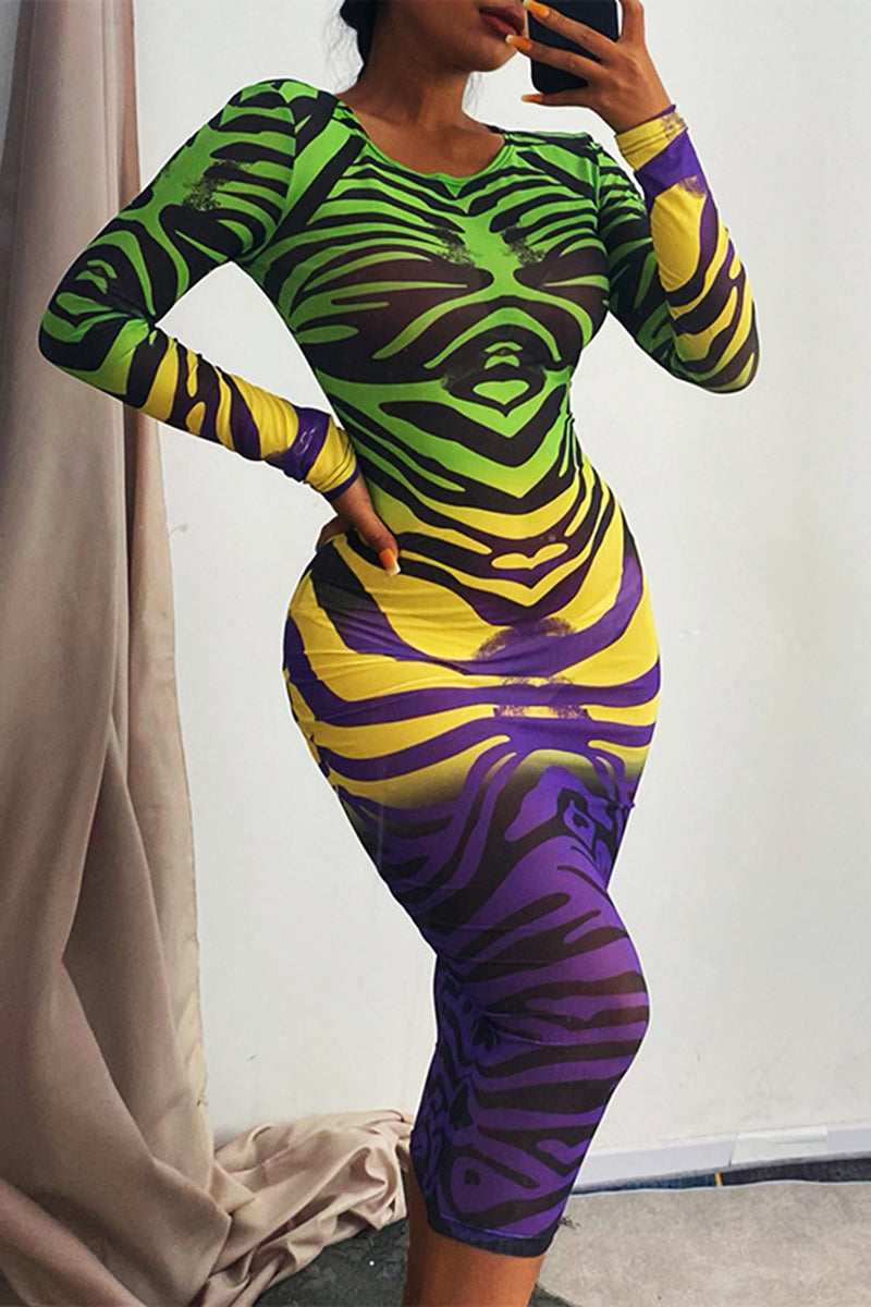 All Over Print Sheer Mesh Midi Dress