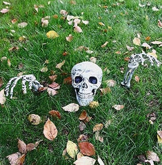 Graveyardâ„?skull garden decoration | 50% Discount