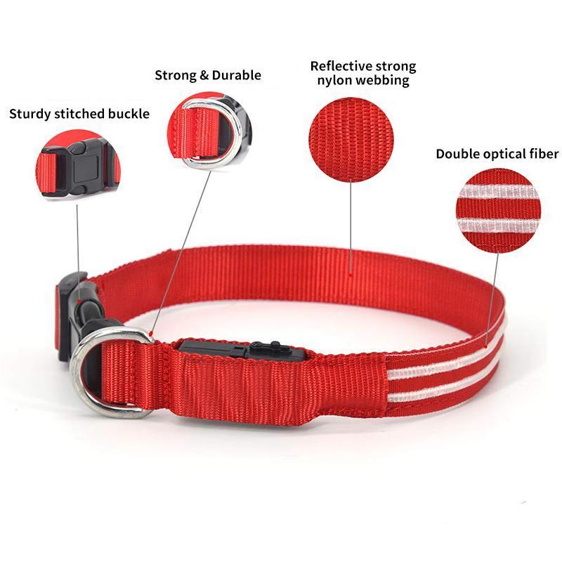 DogShineâ„?| LED collars for dogs