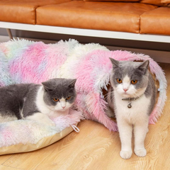 Cat Tunnel Bed Collapsible with Central Mat