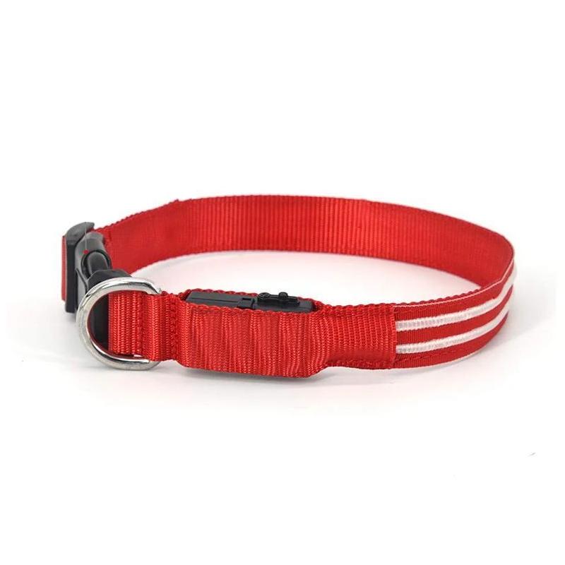 DogShineâ„?| LED collars for dogs