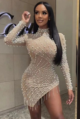 All Luxury Mesh Studded Mini Dress