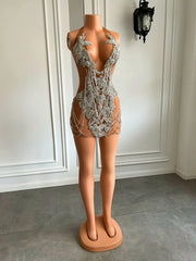 Anaya Sheer Luxury Dress