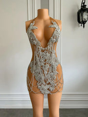 Anaya Sheer Luxury Dress