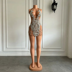 Anaya Sheer Luxury Dress