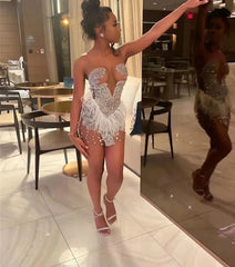 Brenda Mesh Feathers Dress