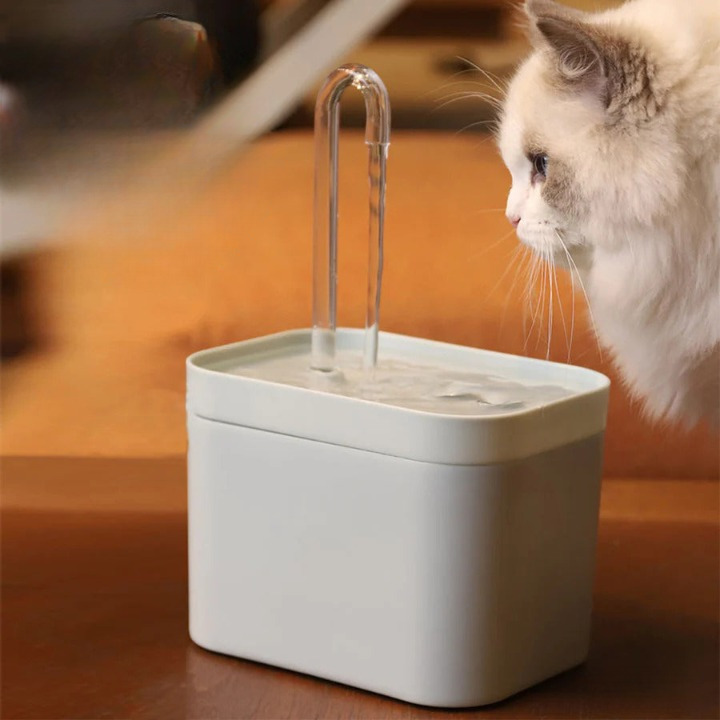 CatSpaâ„?Oxygenated Water Fountain