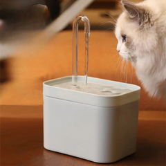 CatSpaâ„?Oxygenated Water Fountain