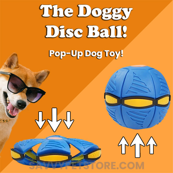 The Doggy Disc Ball | Make your pup happy