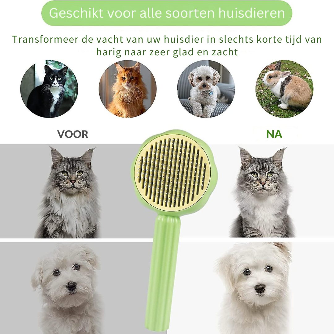 Petbrushâ„?- Brushing your pet has never been easier!