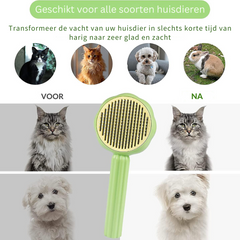 Petbrushâ„?- Brushing your pet has never been easier!