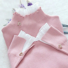 Women's Pullovers Turtleneck Casual Sweater Solid Thick