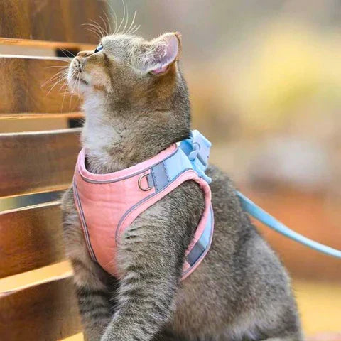 1+1 FREE | Supreme Cat Beltâ„?- Soft and stylish cat harness!