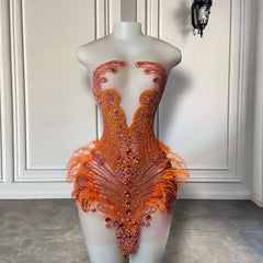 Homecoming Feather Dress