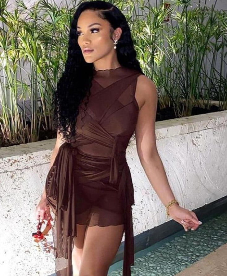 Into You Mesh Mini Dress