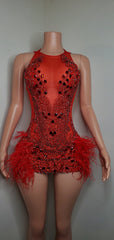 Luxury Sheer Crystal Feather Mini Dress
