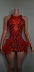 Luxury Sheer Crystal Feather Mini Dress
