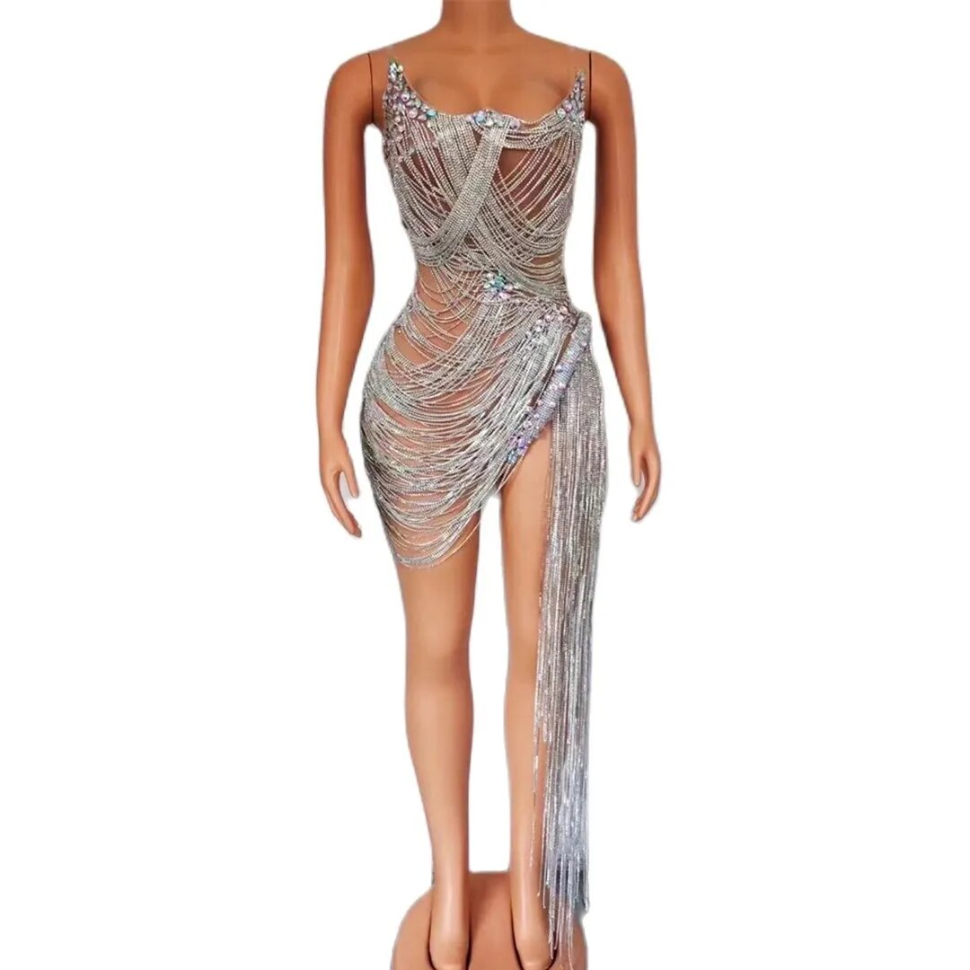 Ms. Bling Fringe Mesh Dress