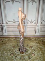 Nude Aesthetic Mesh Dress