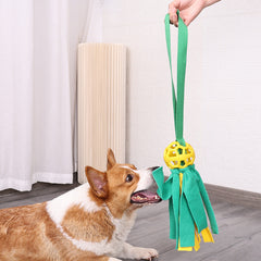 Pet Ball Leaking Food Sound Ball Dog Toy