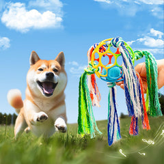 Pet Dog Bell Ball Rope Toys