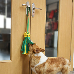 Pet Ball Leaking Food Sound Ball Dog Toy