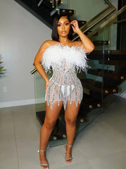 Paris Rhinestone Feather Dress