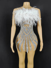 Paris Rhinestone Feather Dress