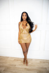 Perfection Mini Dress