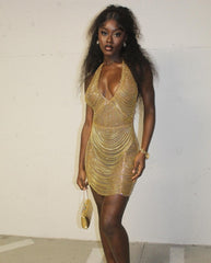 Perfection Mini Dress