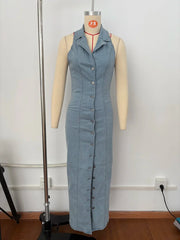 Life In Denim Maxi Dress