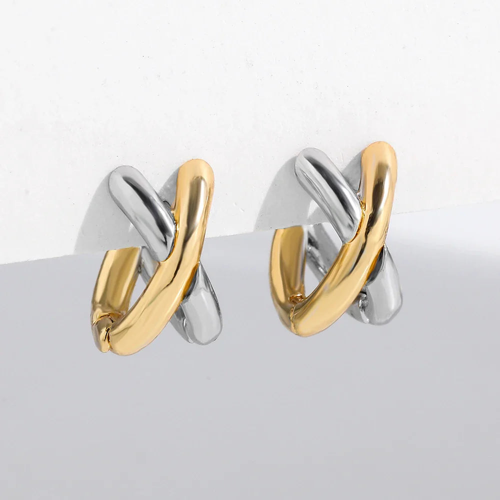 Maintaining Balance Earrings
