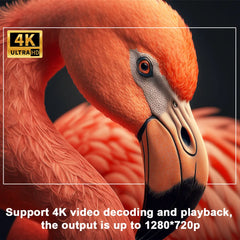 UltraVision Pro4K Envided Projector 4K