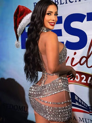 Alissa Mesh Mini Dress